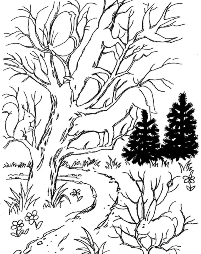 Mini-test. Search for animals playing hide-and-seek.