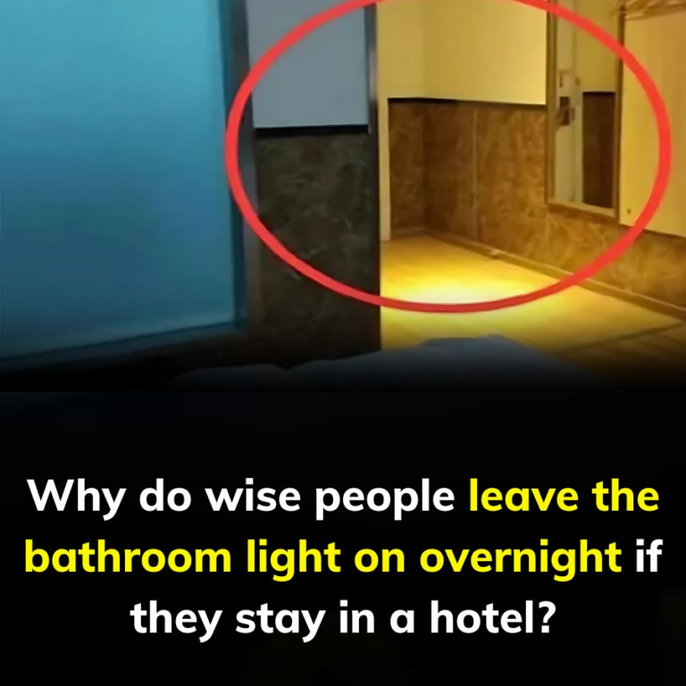 Why do wise people leave the bathroom light on overnight if they stay in a hotel?