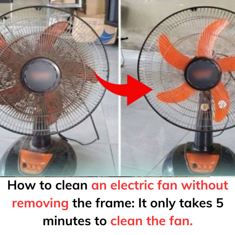 How to clean an electric fan