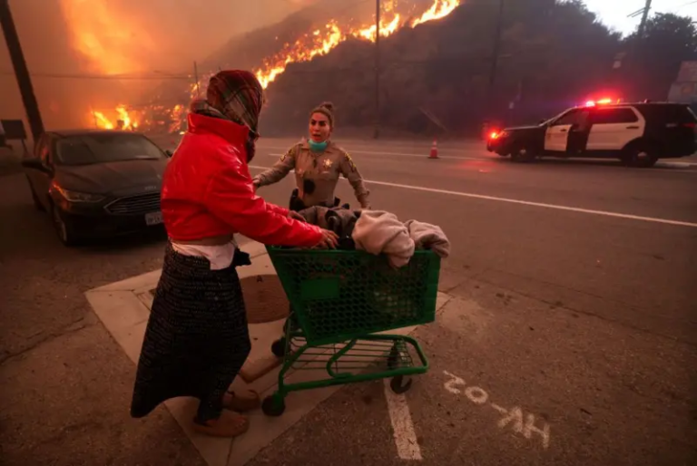 Deadly Wildfires in Los Angeles Pose a Threat to Hollywood😱🔥