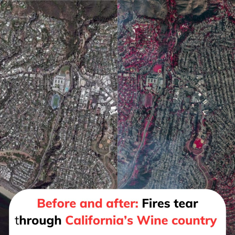 Fires Tear Through California’s Wine Country